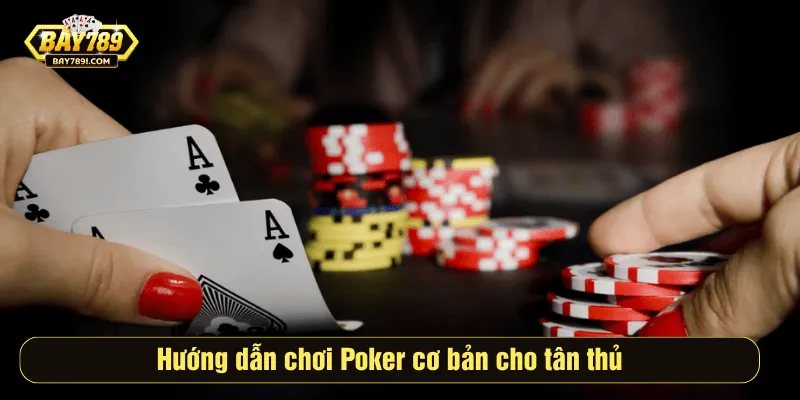 Hướng dẫn chơi Poker cơ bản cho tân thủ