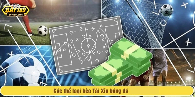 Các loại kèo tài xỉu bóng đá