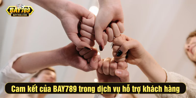 Những cam kết của BAY789 trong dịch vụ hỗ trợ khách hàng