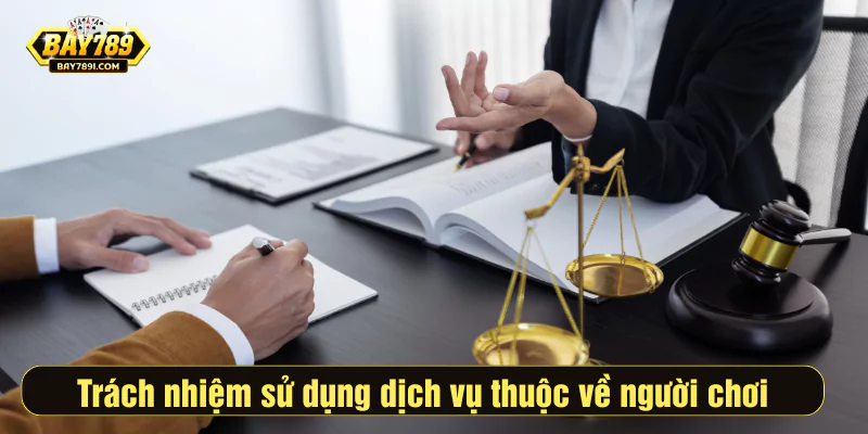 Trách nhiệm sử dụng dịch vụ thuộc về người chơi